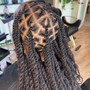 Loc Re-twist & Style