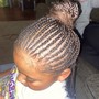 Feed-in Braids (2-4)