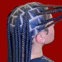 Feed-in Braids (2-4)