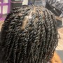 Two Strand Twists