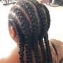 NATURAL Braids NO HAIR ADDED