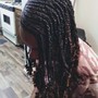 Small BOX Braids / TWIST