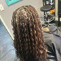 Medium Size Spring Twist {Mid~Back}