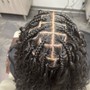 Comb Twist/ Coils