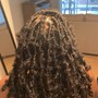 Senegalese Twist