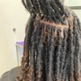 Dreadlocks locs