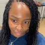 Mini Twists (hair provided) read description