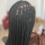 Havana Twists