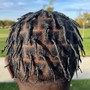 Starter locs( twist or coils)