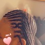 Micro plaits