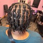 Starter Locs (Comb twist method) - Up to 120 Locs