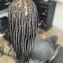 Root Touch Up