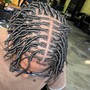 Starter Locs