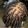 Starter Locs