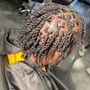 Starter Locs