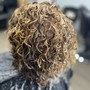 Root Touch Up