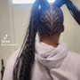 Individual Braids