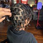 Starter Locs