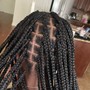 Loc Coils