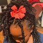 Crochet Braids Or Twist