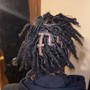 Starter Locs