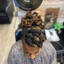 Loc Updo Style