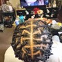 Tree Braids