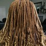 Soft Locs (Mid Back Length)