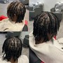 Starter Locs