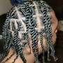 Two Strand Twists