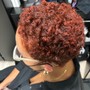 Root Touch Up