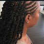 Short curly  Bob knotless braids