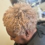 Root Touch Up