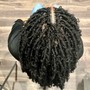 Crochet Braids, Twists, Locs