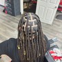 Starter locs