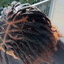 Loc Maintenance Retwist