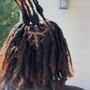 Loc Maintenance Retwist